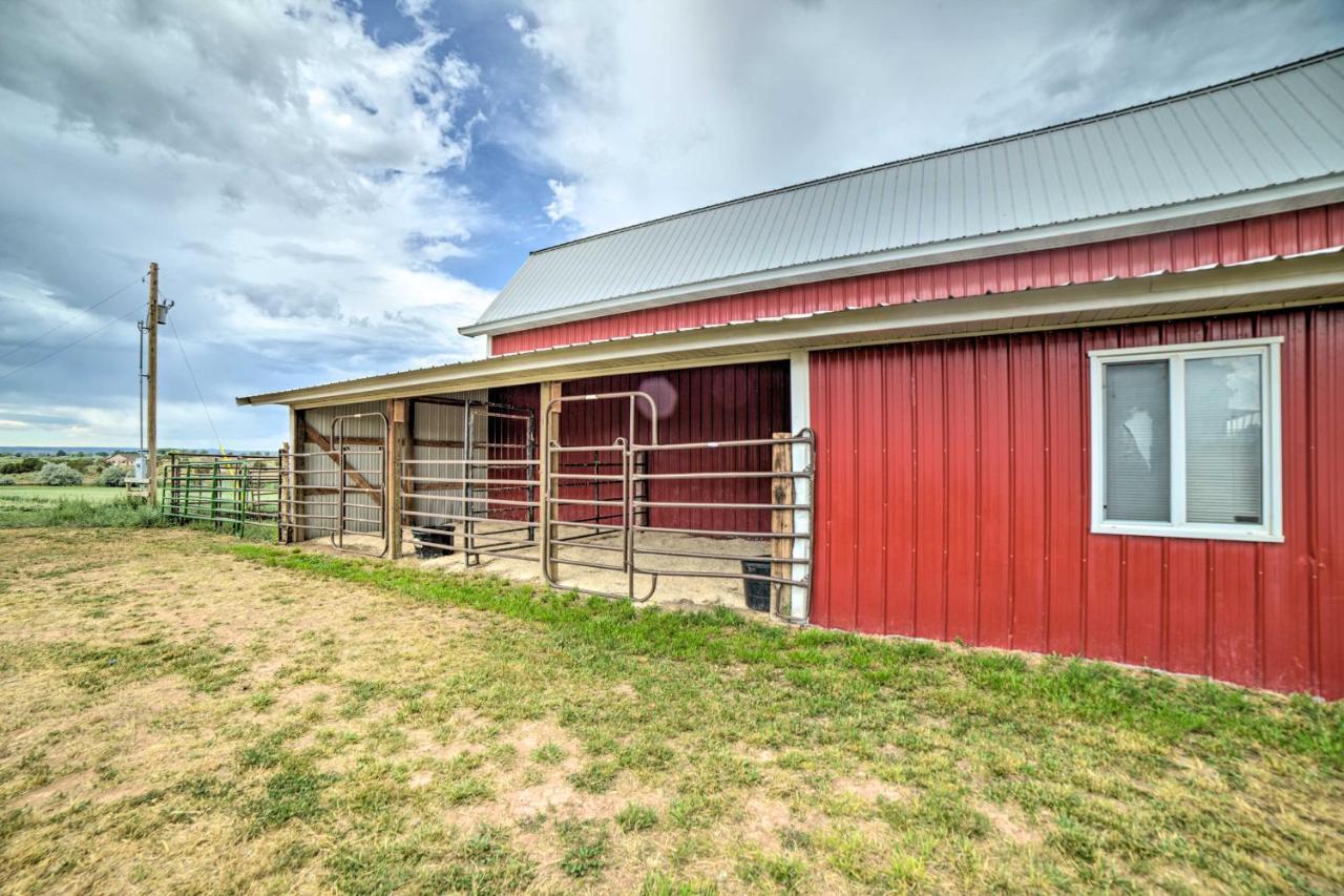 Walkout Apartment With Mtn View On Cortez Ranch エクステリア 写真